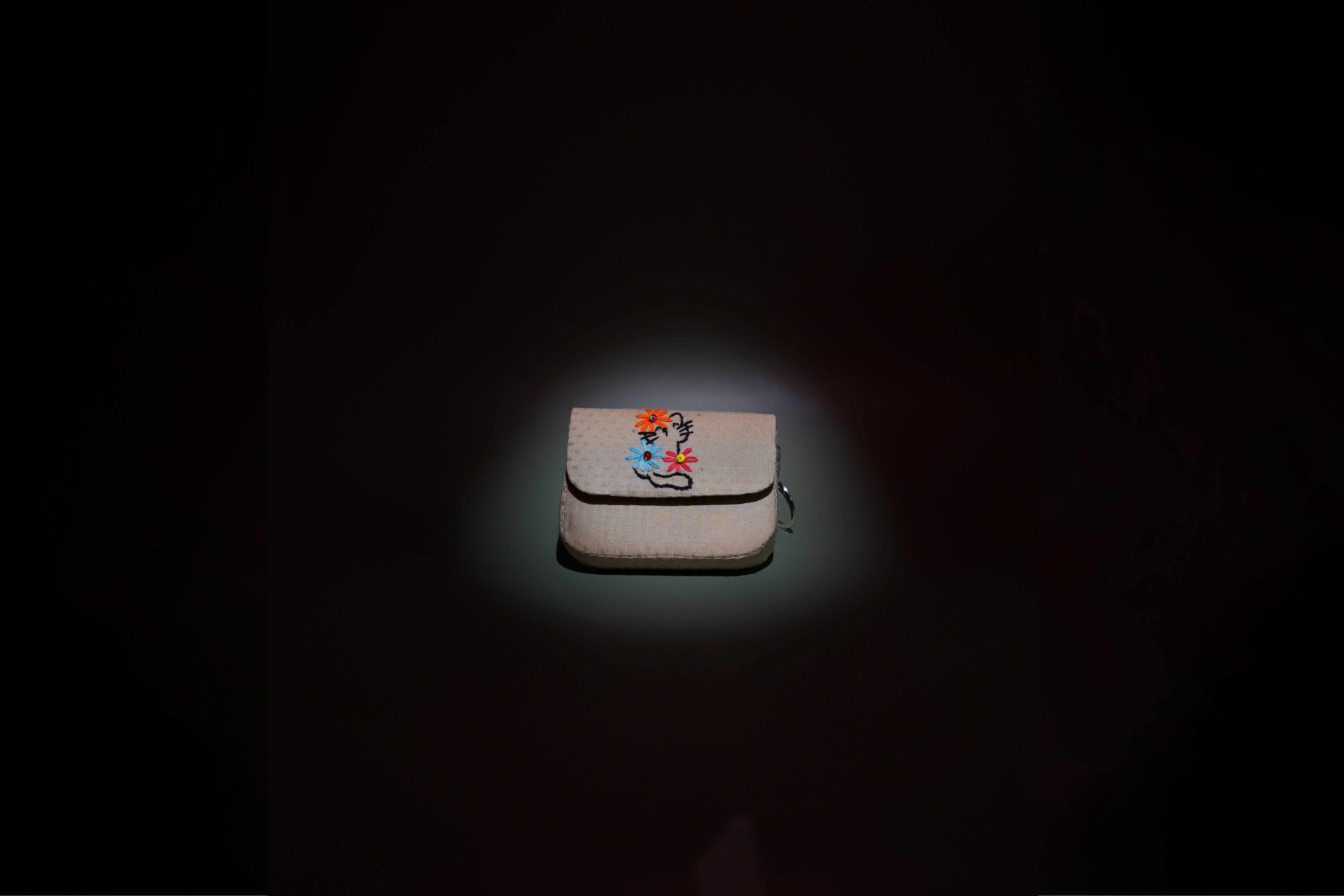 Echo