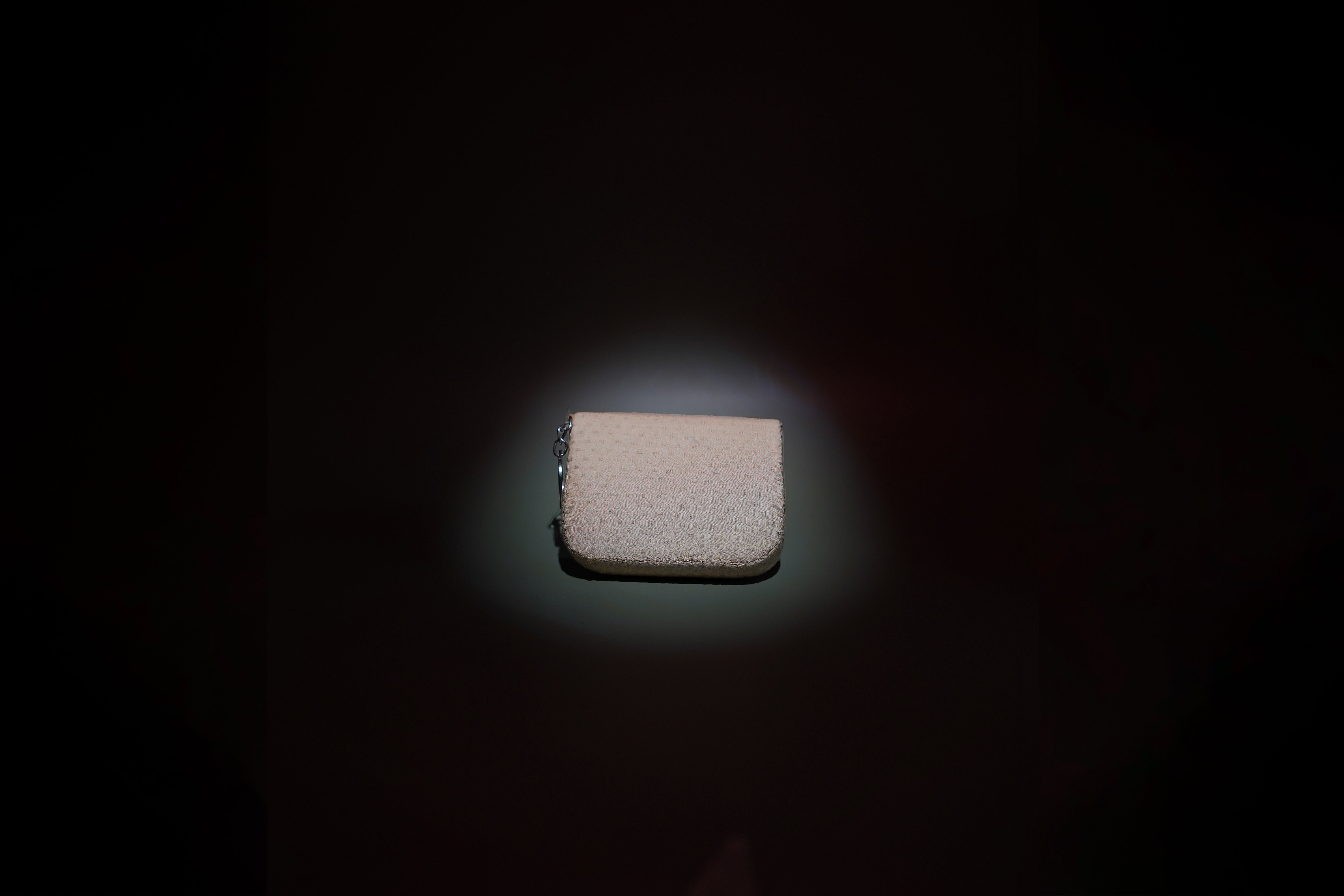 Echo